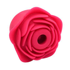 Bella Rose (Tik Tok favorite rose)